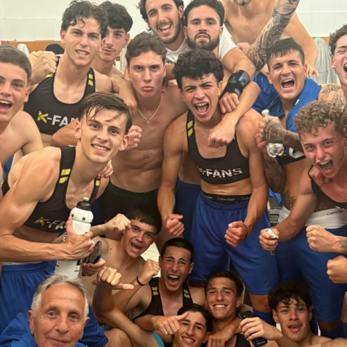Calcio dilettantistico italiano, notizie Serie D e Eccellenza