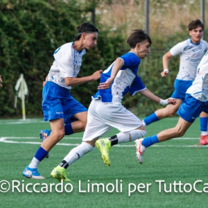 Calcio dilettantistico italiano, notizie Serie D e Eccellenza